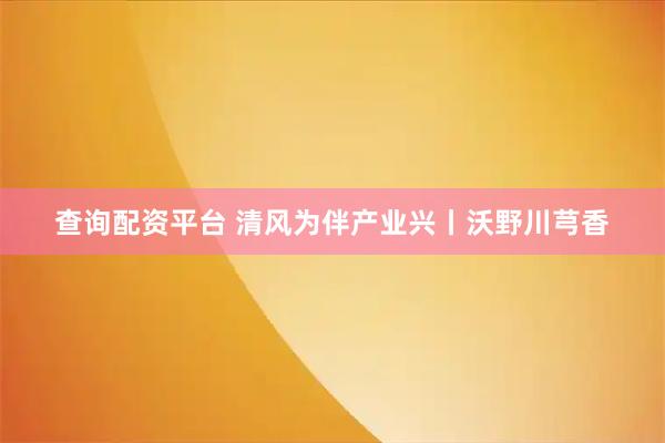 查询配资平台 清风为伴产业兴丨沃野川芎香